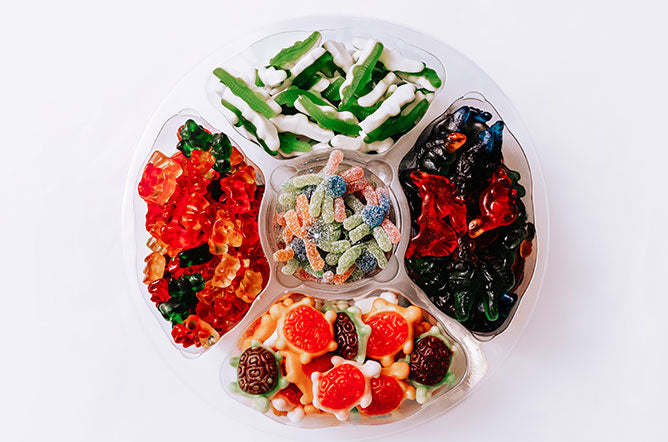Gummy Animal Tray