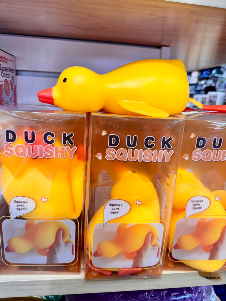14" Squishy Duck