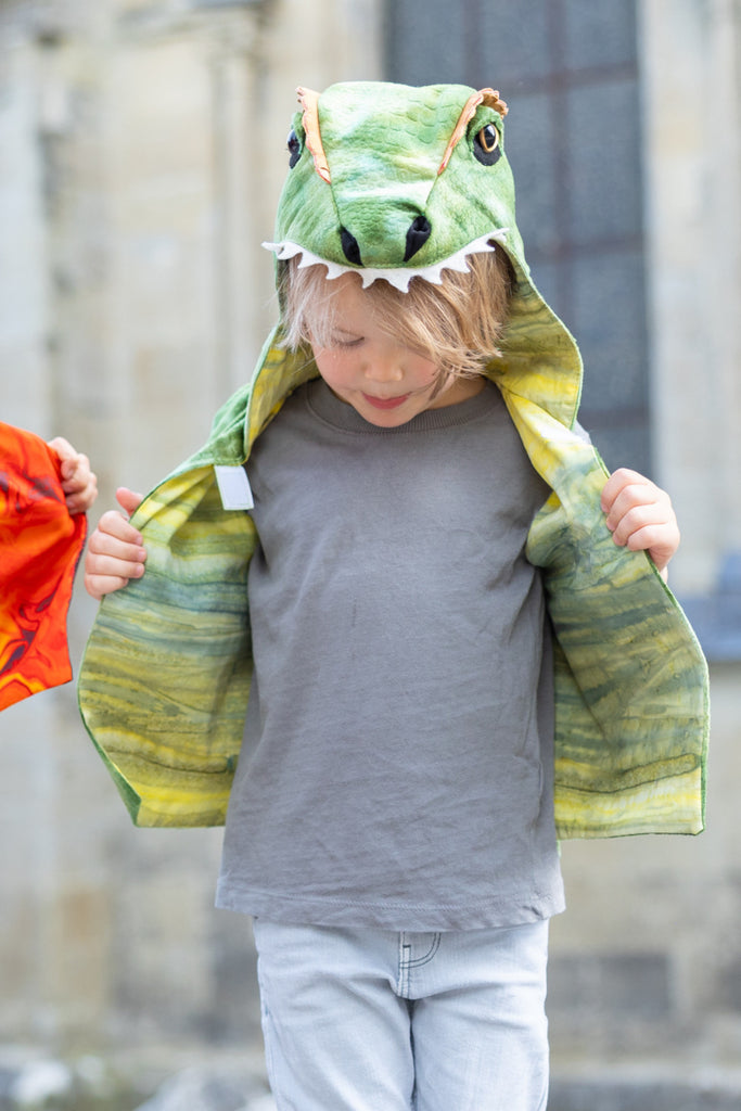 The All Day Everyday Dino Vest (Size 5-6)