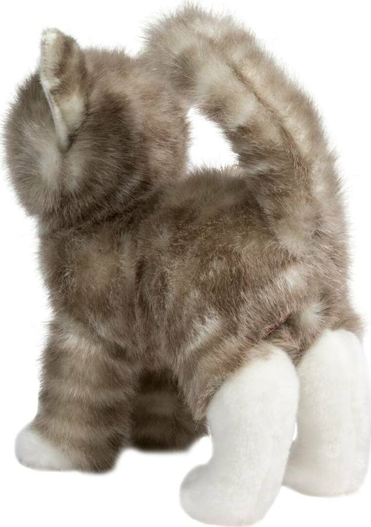 Zipper Gray Tabby Cat