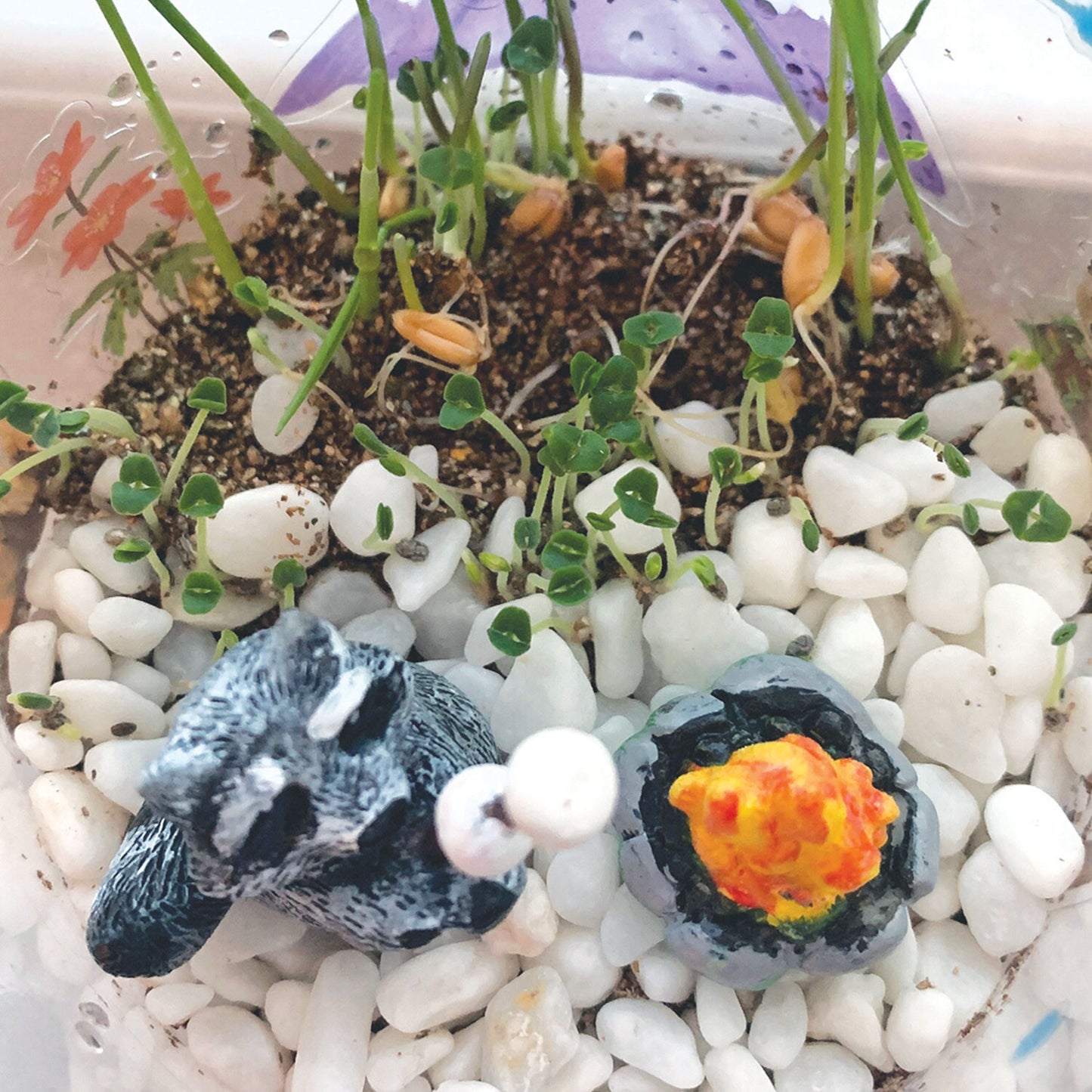 Creativity for Kids Grow N' Glow Terrarium with LED lights, seeds, soil, and decorative elements for plants