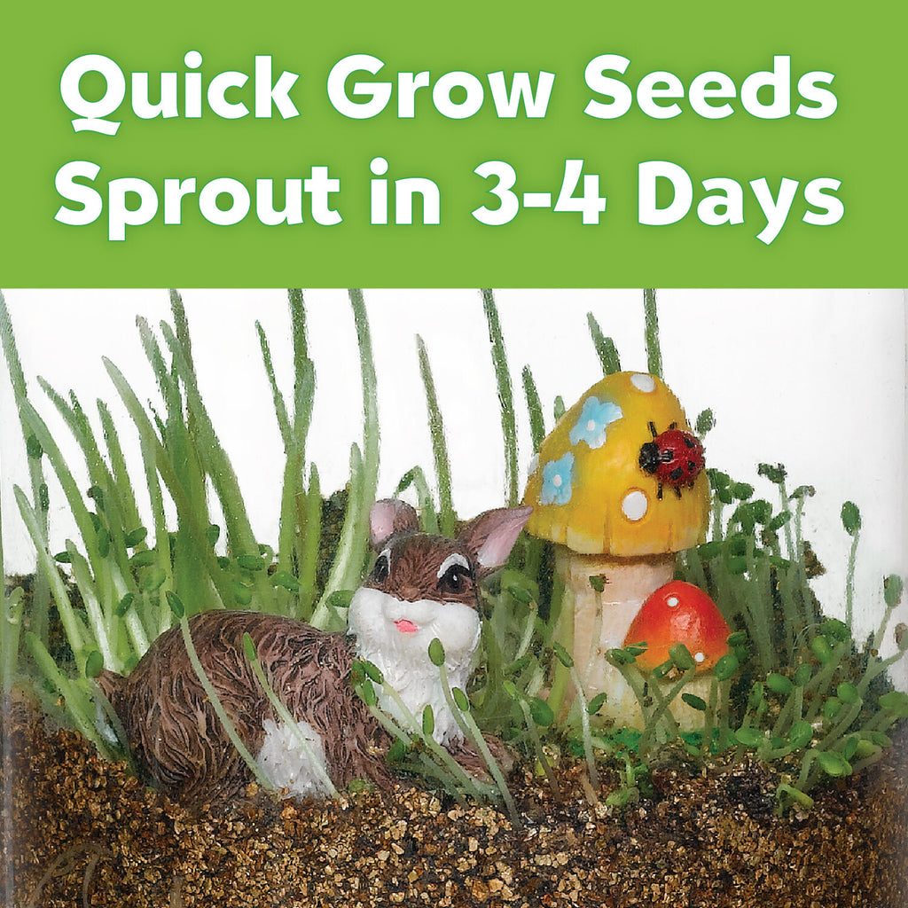 Creativity for Kids Grow N' Glow Terrarium with LED lights, seeds, soil, and decorative elements for plants