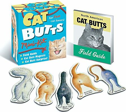 Cat Butts