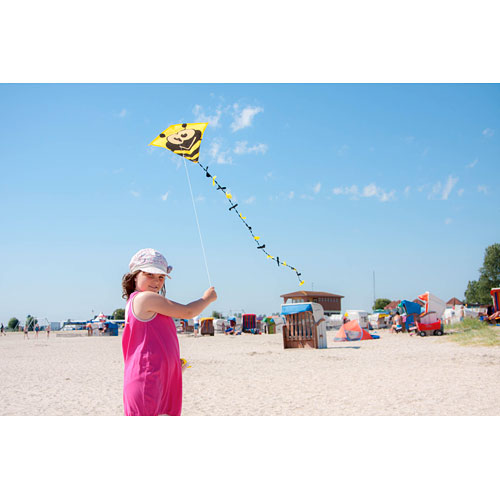 Eco: Eddy Bumble Bee 50cm 20"