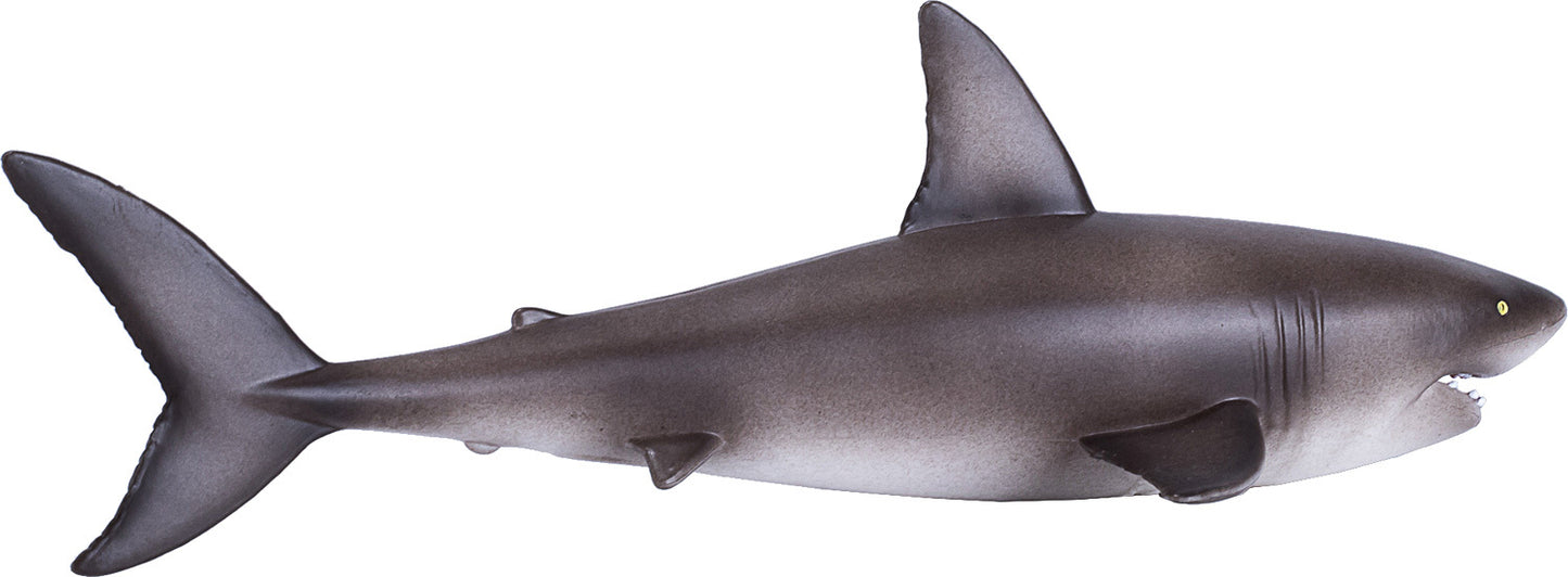 Great White Shark