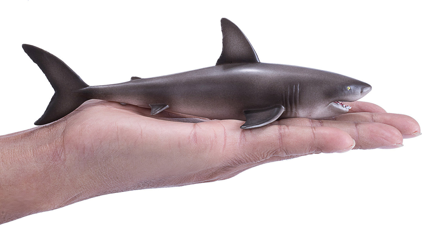 Great White Shark