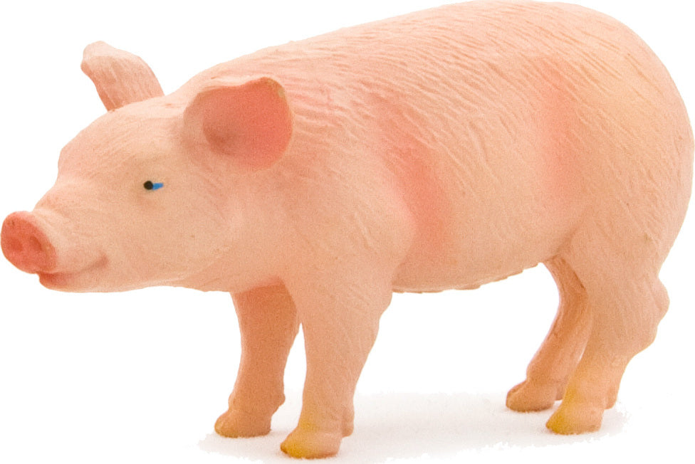 Piglet Standing