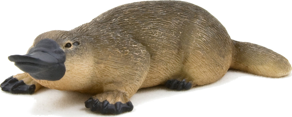 Duck Billed Platypus