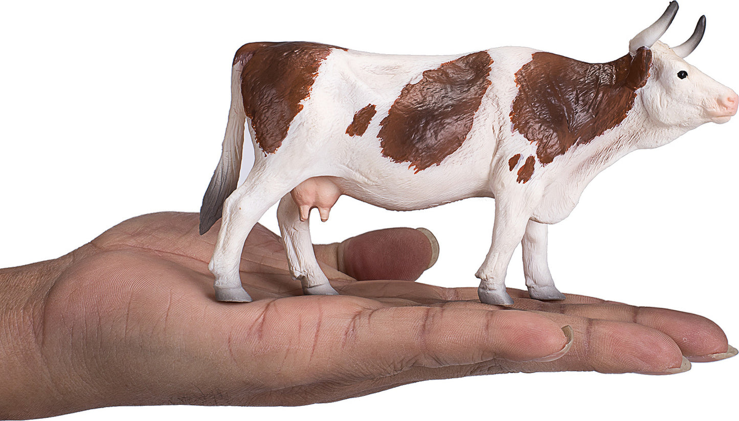 Simmental Cow
