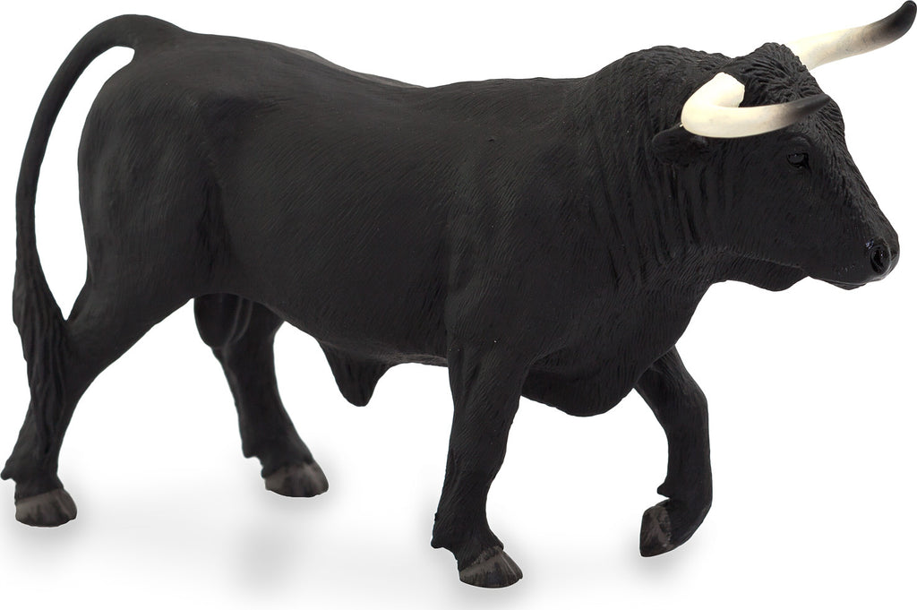 Spanish Bull