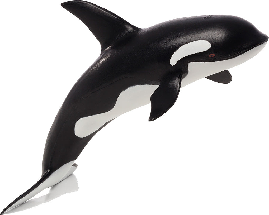 Orca Large