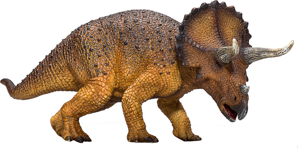 Triceratops
