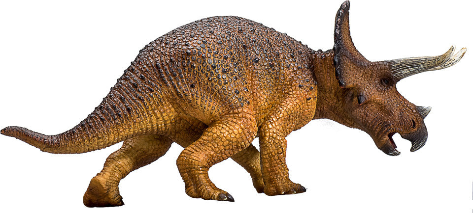 Triceratops