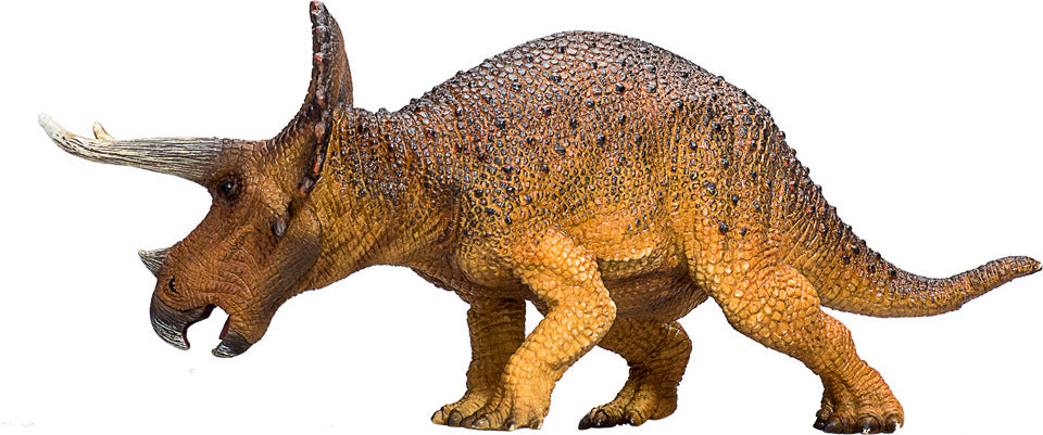 Triceratops