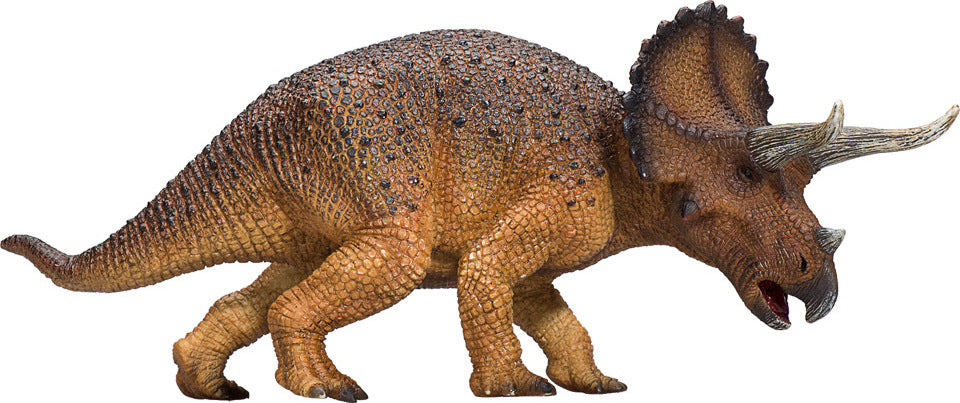 Triceratops