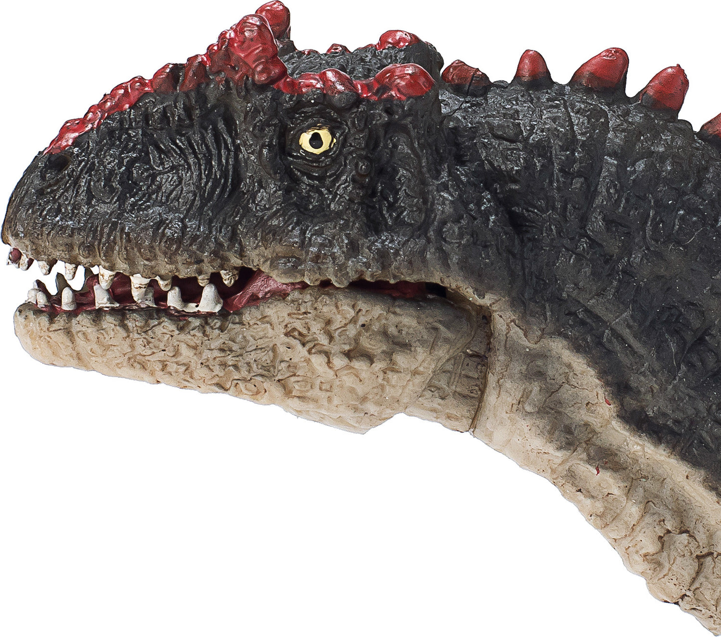 Allosaurus with Articulated Jaw