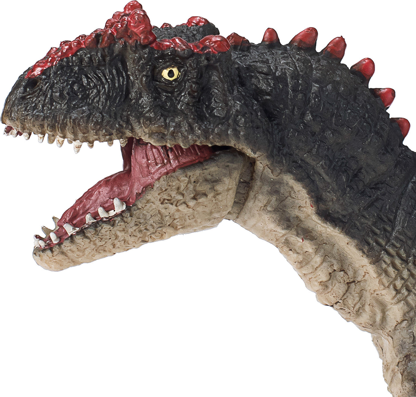 Allosaurus with Articulated Jaw