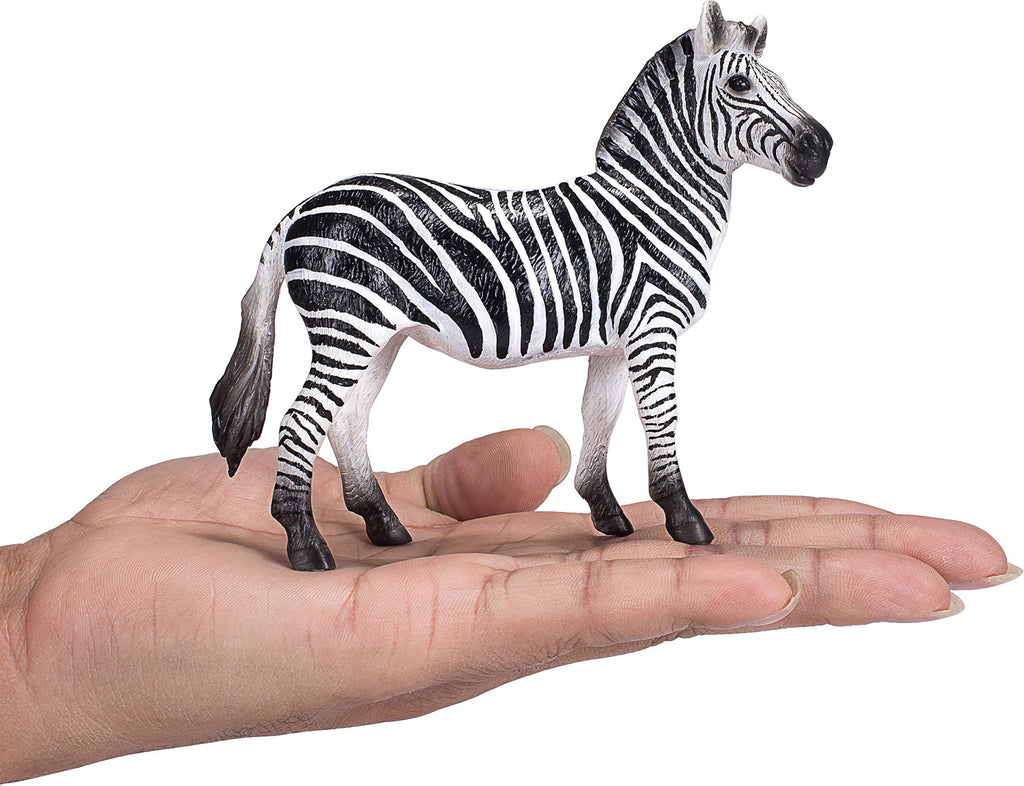 Zebra Mare