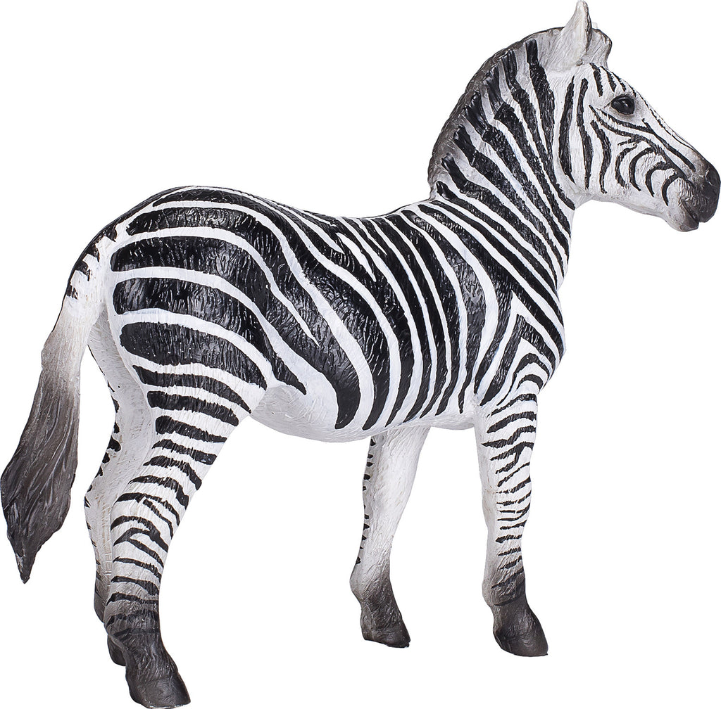 Zebra Mare