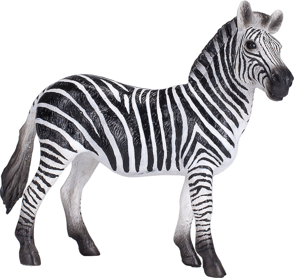 Zebra Mare