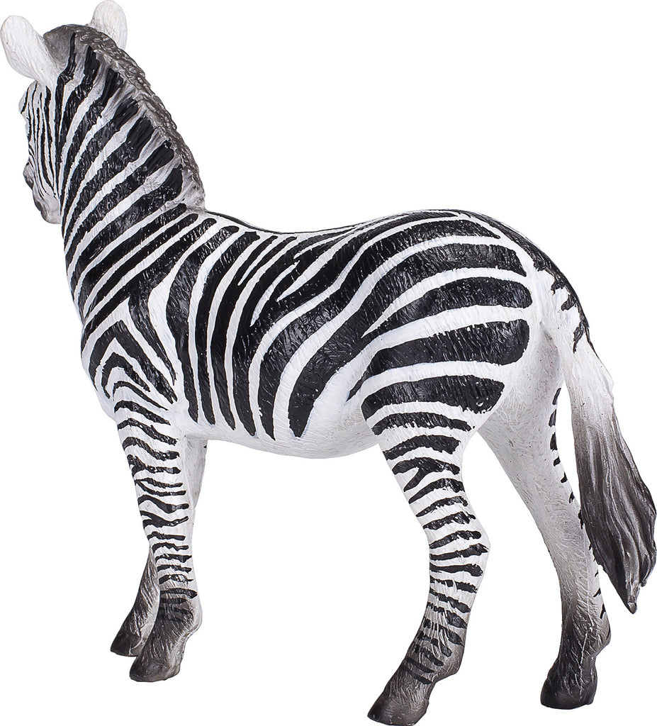 Zebra Mare