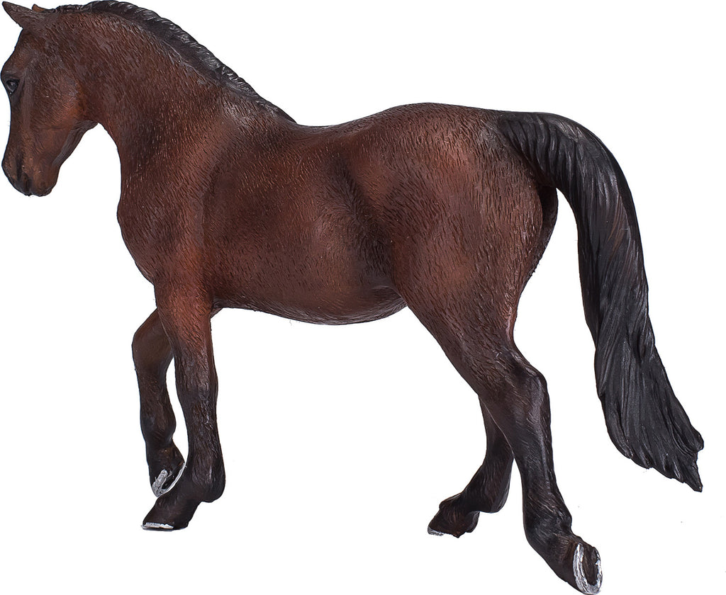 Morgan Stallion Palomino