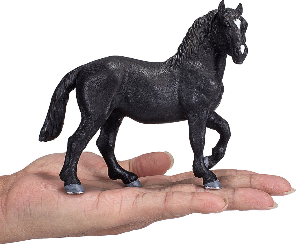 Percheron