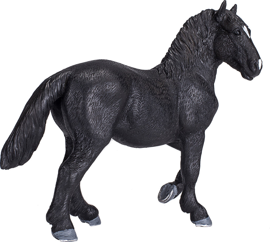 Percheron