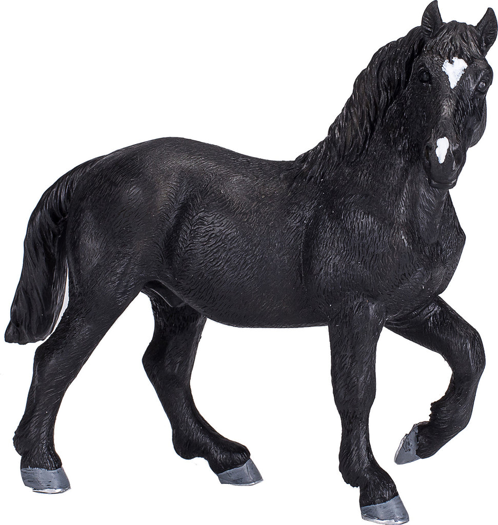 Percheron