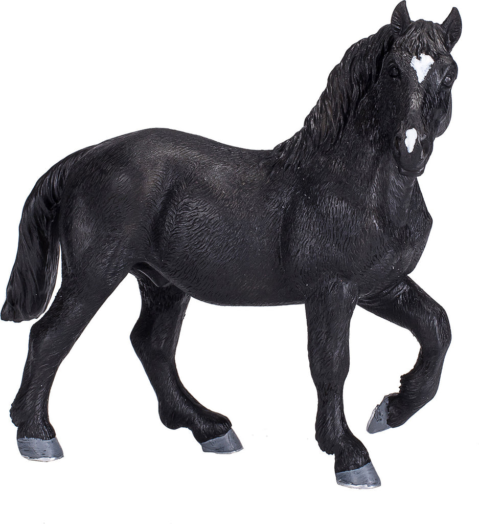 Percheron