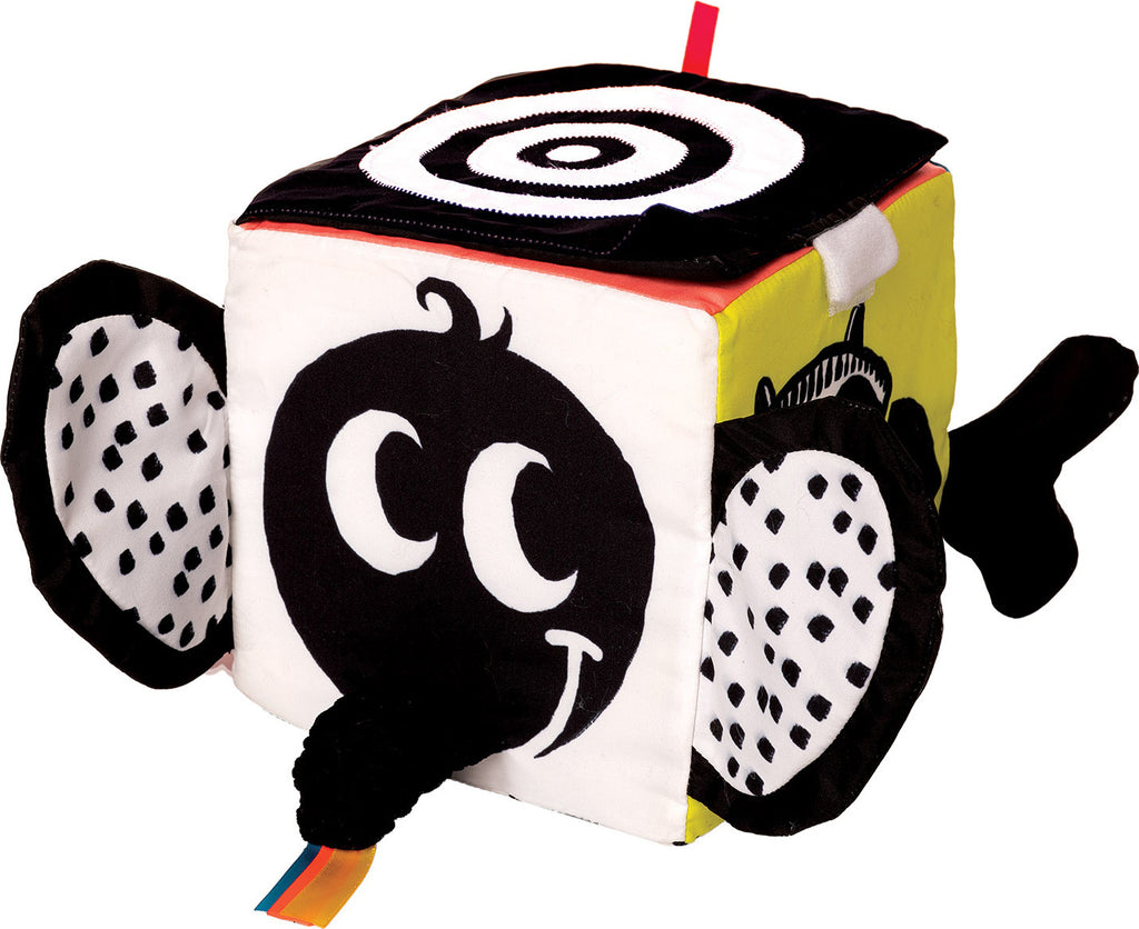 Wimmer Ferguson Learning Cube