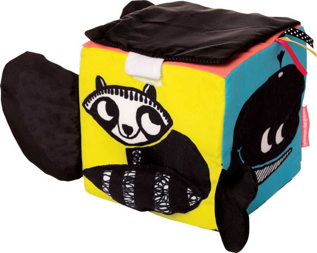 Wimmer Ferguson Learning Cube