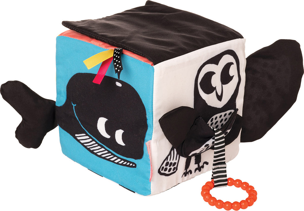 Wimmer Ferguson Learning Cube