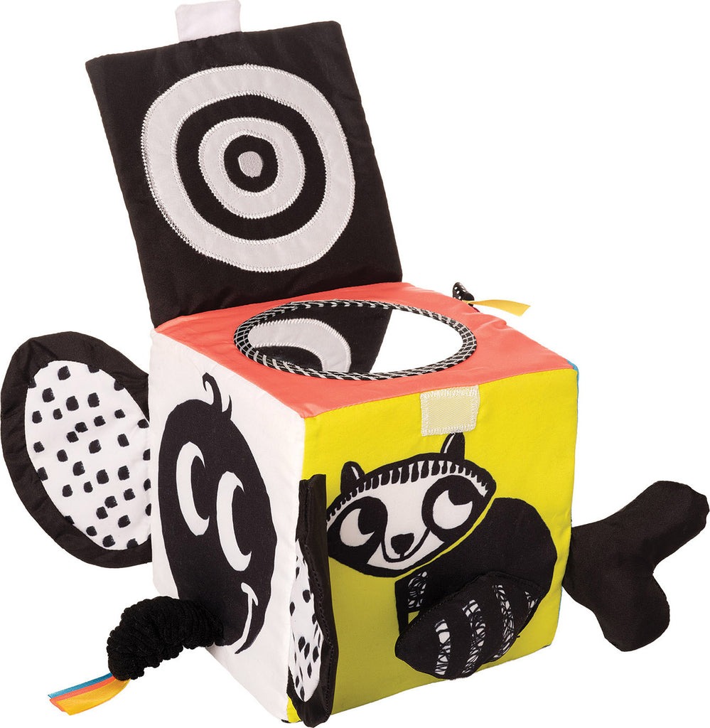 Wimmer Ferguson Learning Cube