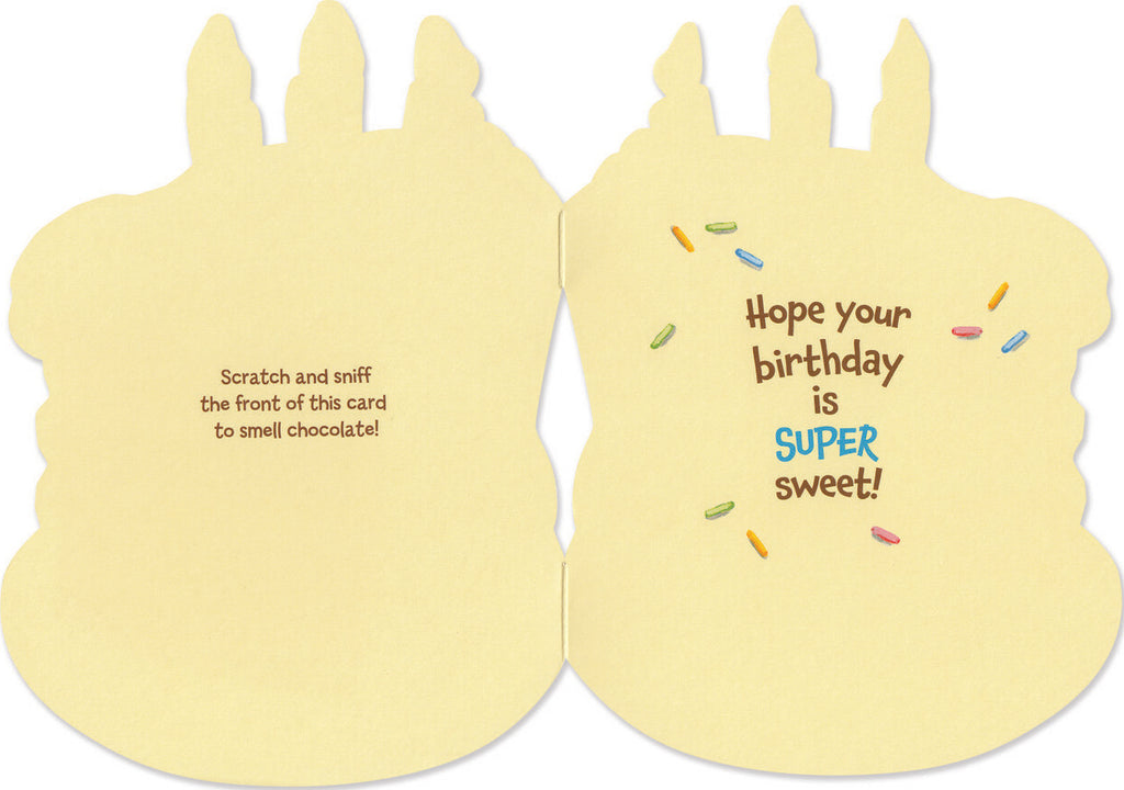 Chocolate Birthday Cake Scratch & Sniff