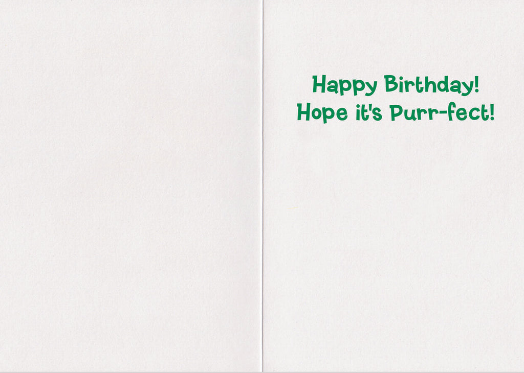 6401Fc_Realisticcat_190717