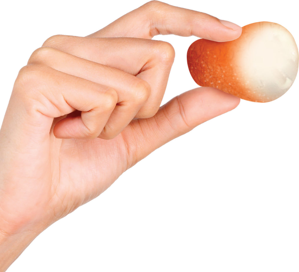 NeeDoh Donut Holes assorted donut-shaped stress balls for sweet sensory play