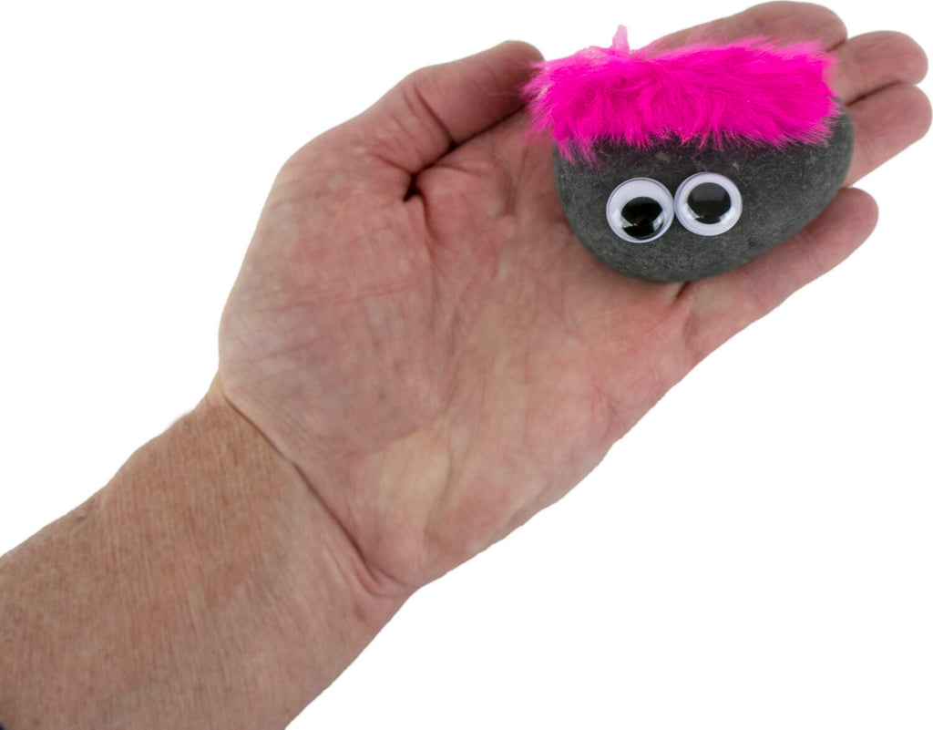 Orginal Classic Official Pet Rock (assorted)