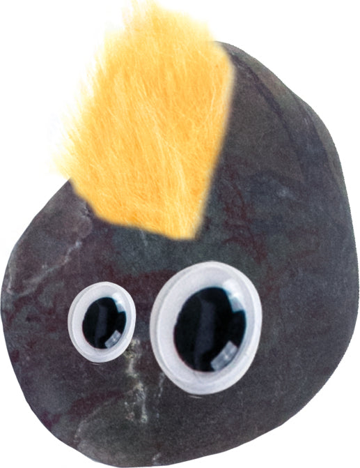 Orginal Classic Official Pet Rock (assorted)