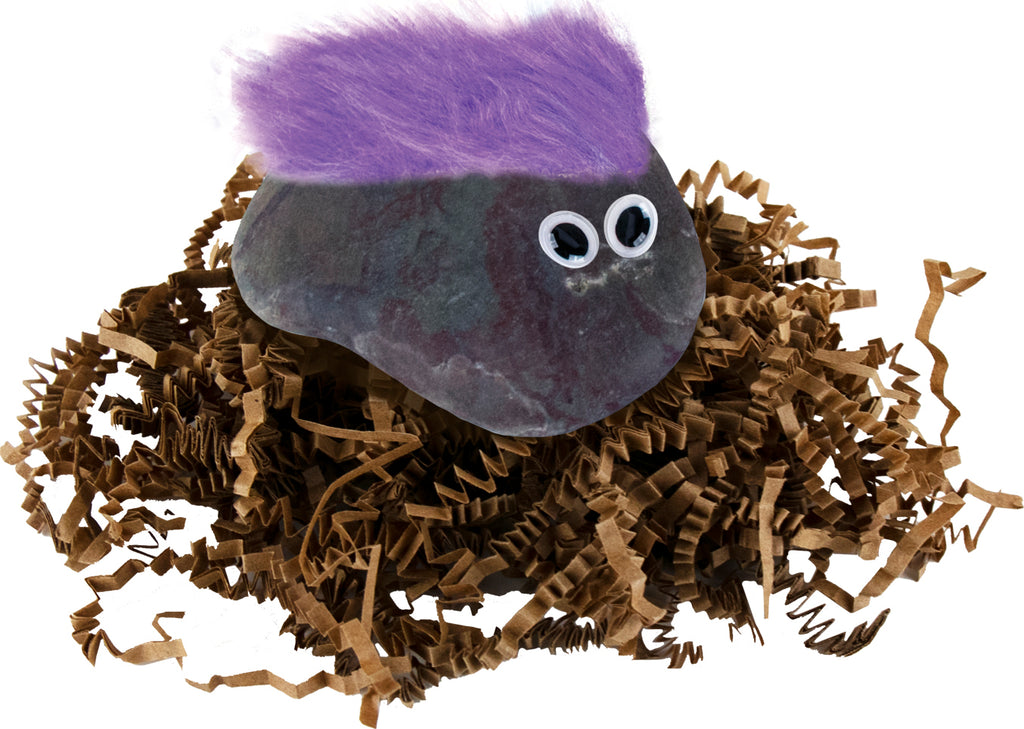 Orginal Classic Official Pet Rock (assorted)