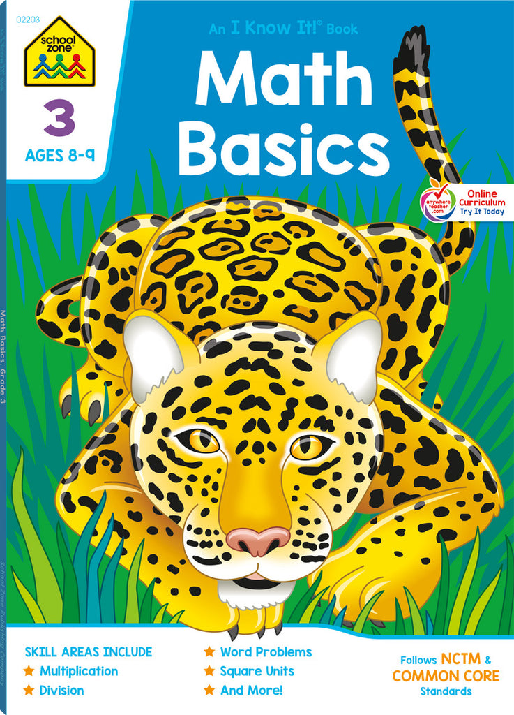 Math Basics Grade 3 Workbook
