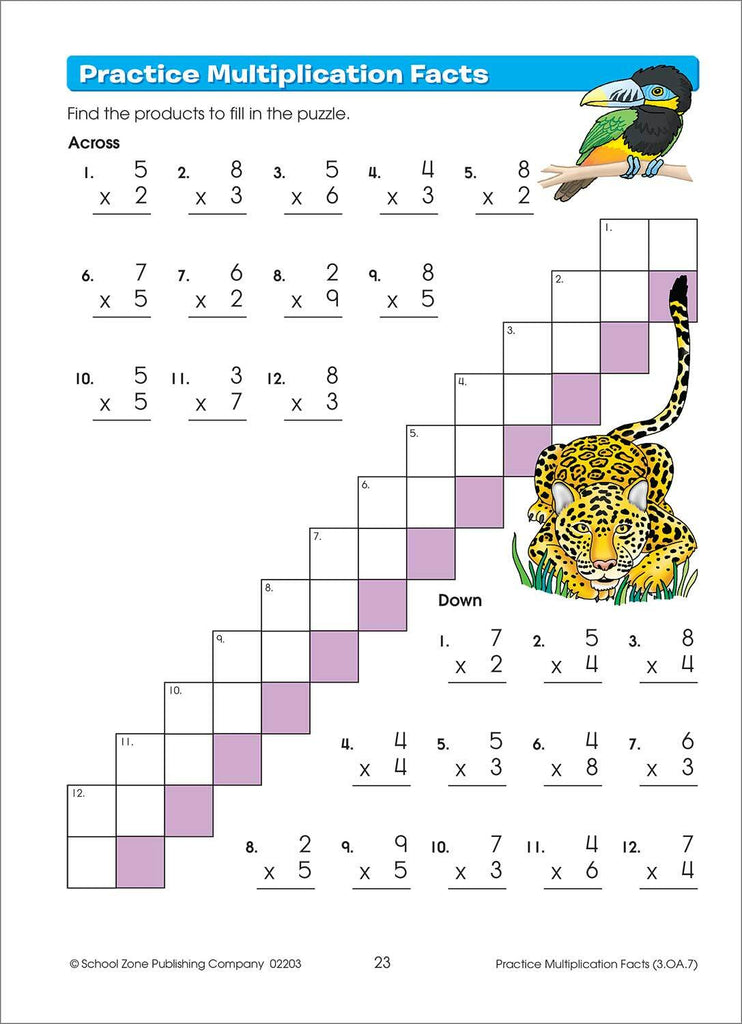 Math Basics Grade 3 Workbook