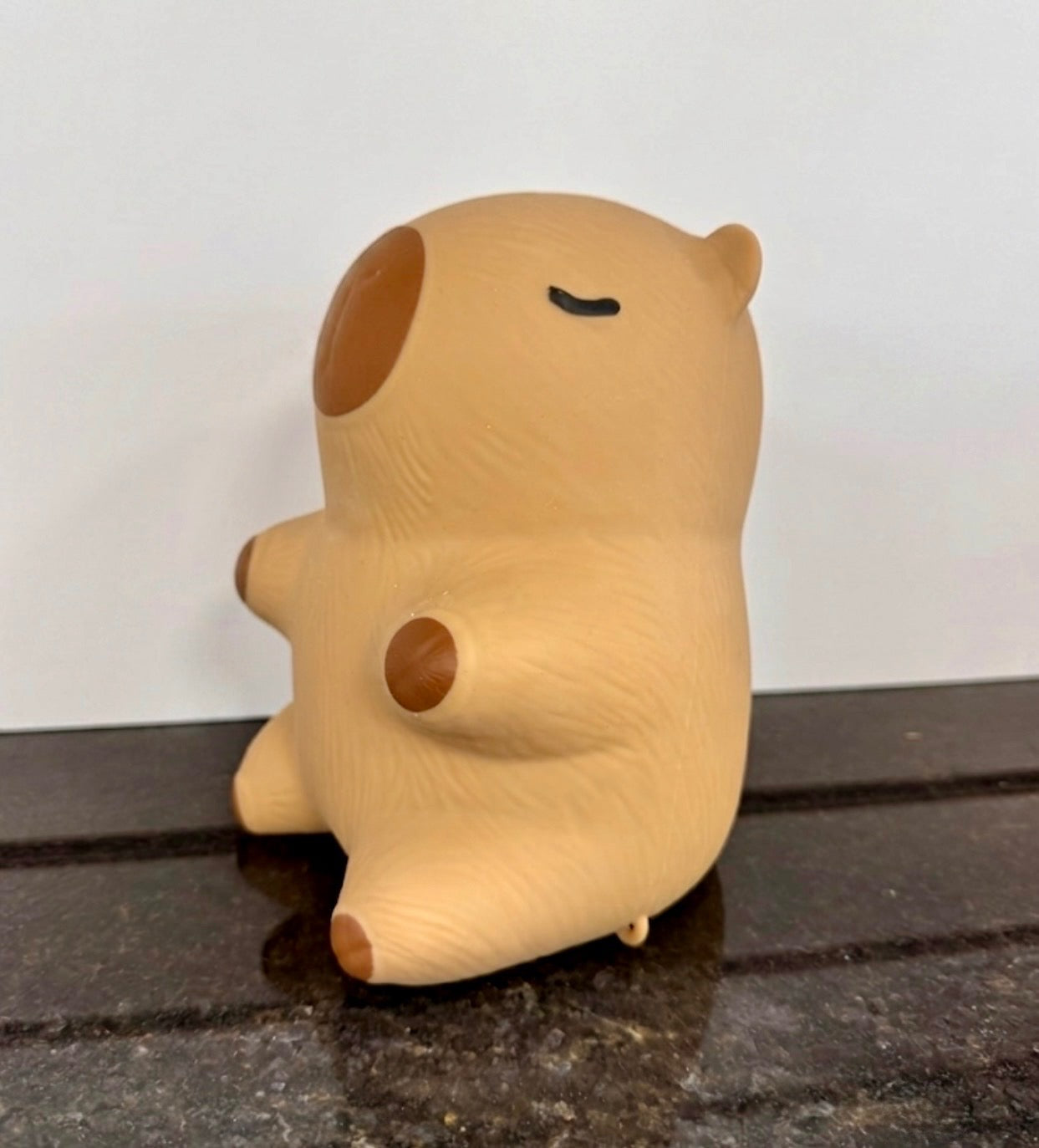 Capybara Squishy