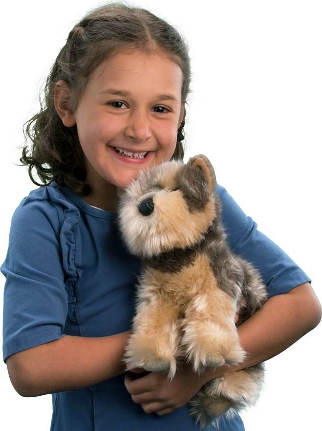 Yettie Yorkie