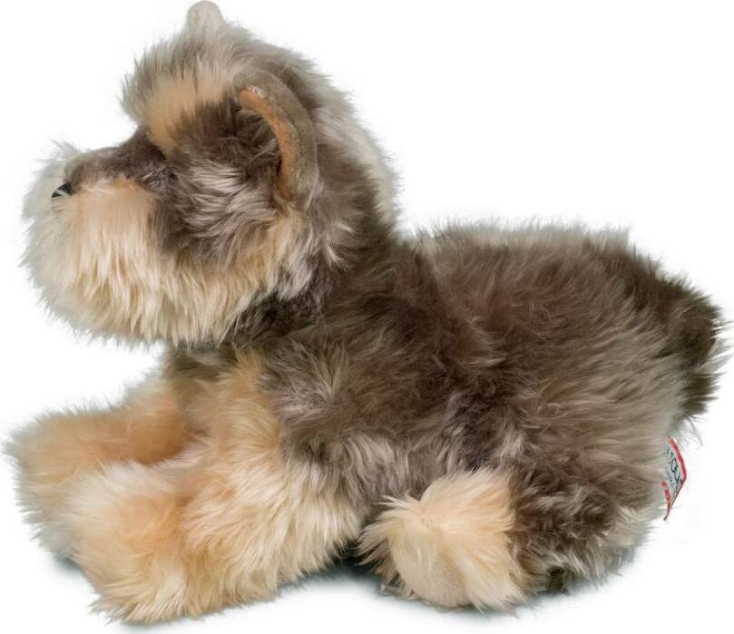 Yettie Yorkie
