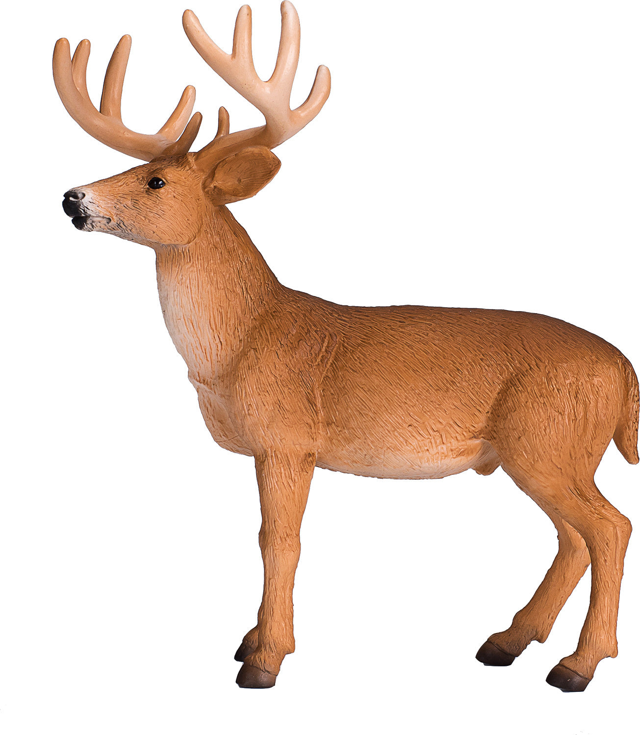 White Tailed Deer Buck – Toys and Sweets