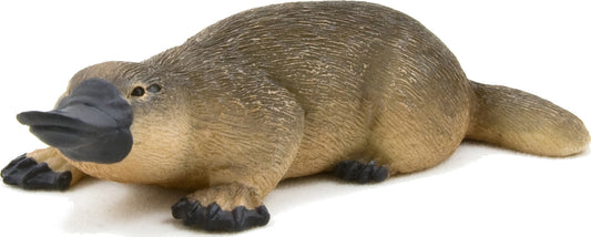 Duck Billed Platypus