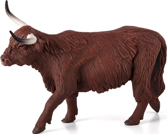Highland Cow