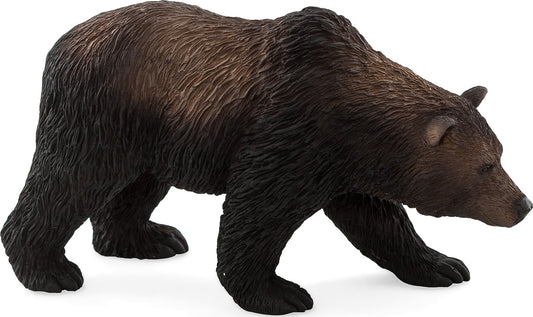 Grizzly Bear