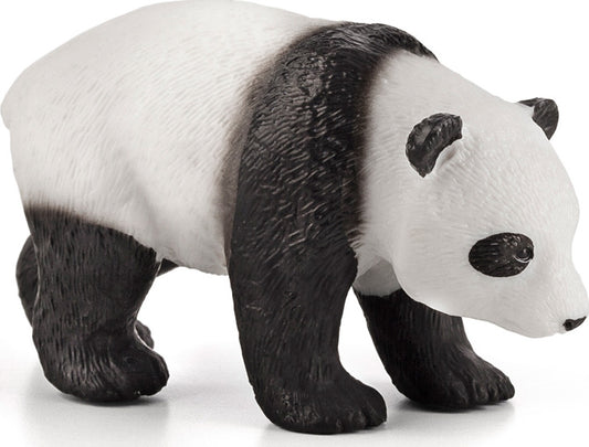 Panda Baby